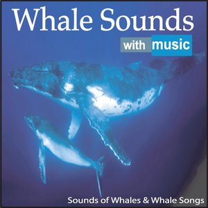 Image for 'Whale Sounds With Music: Sounds of Whales & Whale Songs'