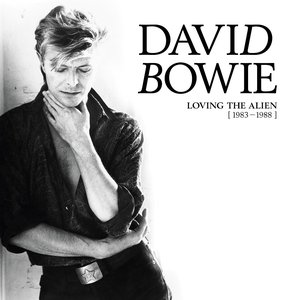 Imagem de 'Loving The Alien [1983-1988]'