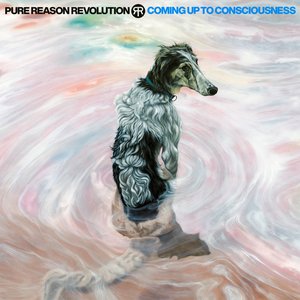 Изображение для 'Coming Up To Consciousness (Deluxe Edition)'