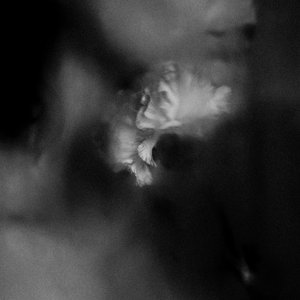 Image for 'Holding Absence'