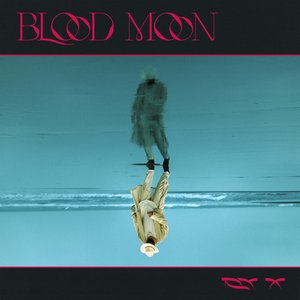 Zdjęcia dla 'Blood Moon'