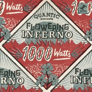 “1000 Watts”的封面