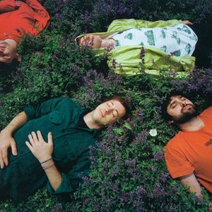 Изображение для 'Animal Collective'