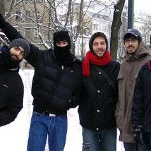 “mashrooms”的封面