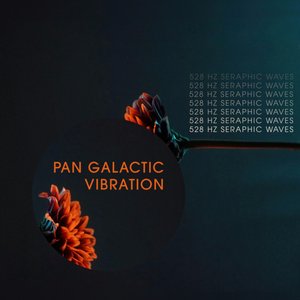 Immagine per 'Pan Galactic Vibration'