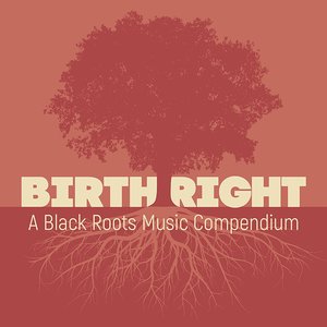 Image for 'Birthright: A Black Roots Music Compendium'