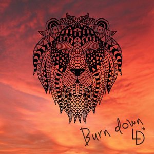 Image for 'Burn Down'