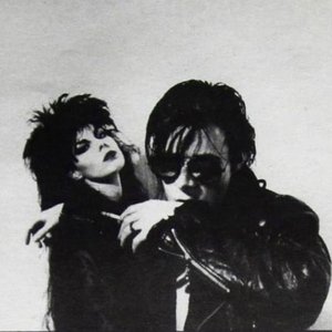 Image for 'The Sisters of Mercy'