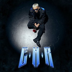 Image for 'ENR'