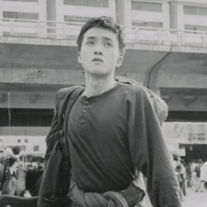 Image pour '張楚'