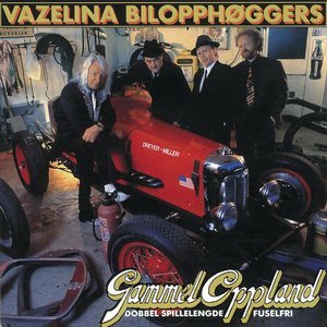 Image for 'Gammel Oppland'