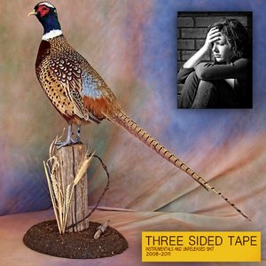 Image for 'Three Sided Tape Volume Two'