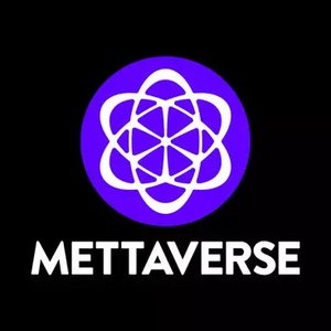 Image for 'Mettaverse'