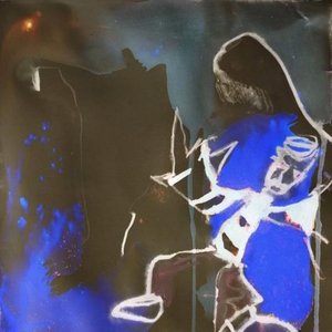 “amongst the madness”的封面