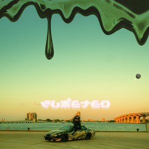 Image for 'FUMETEO'