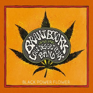 Image for 'Black Power Flower'