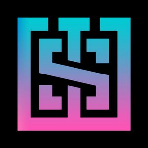 “WS GANG”的封面