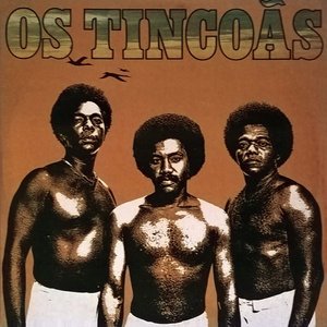 Image for 'Os Tincoãs (1977)'