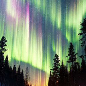 BorealisDreams
