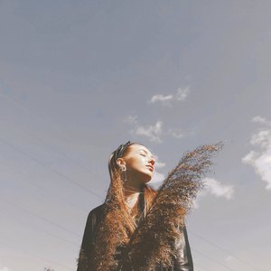 “Арктика”的封面