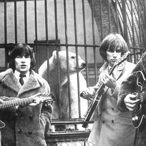 Imagem de 'The Troggs'