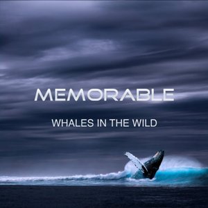 'Whales in the Wild' için resim