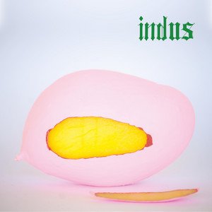 Image for 'indus'