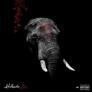 Image for 'Hillside Zoo'