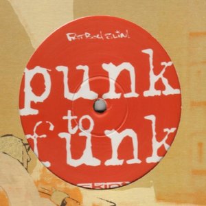 “Punk to Funk”的封面