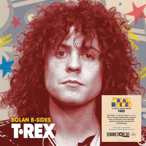 Immagine per 'Bolan B-Sides'