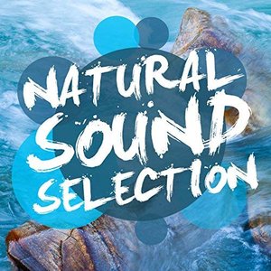 “Natural Sound Selections”的封面
