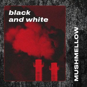 Image for 'Black and White'