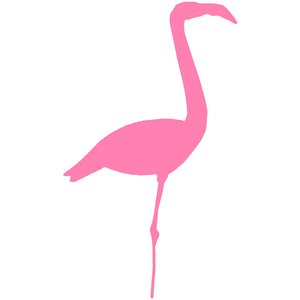 Image for 'Fake Flamingo Recordings'