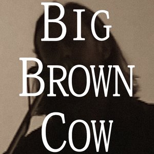 'Big Brown Cow' için resim