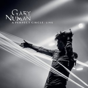 Immagine per 'A Perfect Circle: Live'