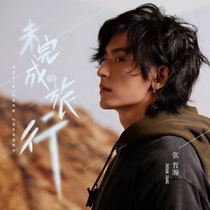 Image for '未完成的旅行 Unfinished Journey'