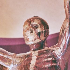 Image for 'Angel'