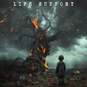 Image for 'Life Support'