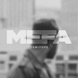 “MEFA”的封面