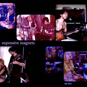 Imagen de 'expensive magnets'