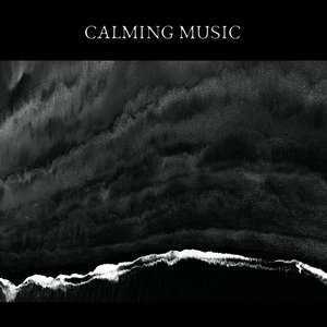 Image for 'Calming Music (Insomnia, Relax, Sleep, Meditation, Spa)'