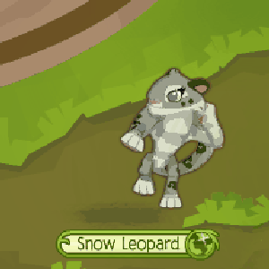 “Animal Jam”的封面