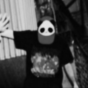 Braddeboi