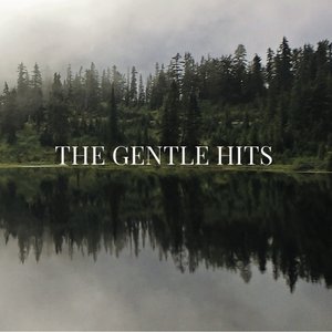 'The Gentle Hits' için resim