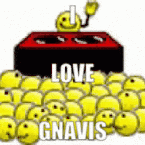Image for 'Gnavis'
