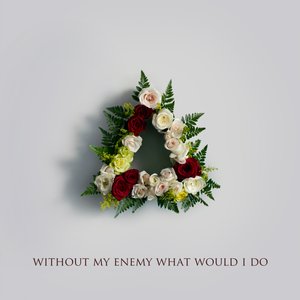 Image pour 'Without My Enemy What Would I Do'