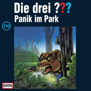 Image for '110/Panik im Park'