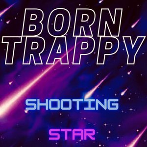 Image for 'Shooting Star'