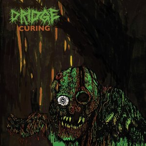 Image for 'Curing'