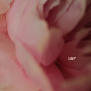 “Survive”的封面